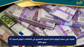 تعرف على سعر اليورو أمام الجنيه المصري في تعاملات اليوم السبت 31 مايو 2025